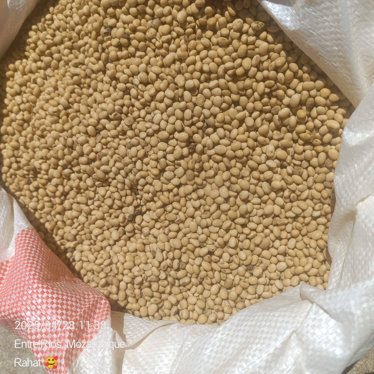 Mais, soia, noci, ecc. from Mozambico